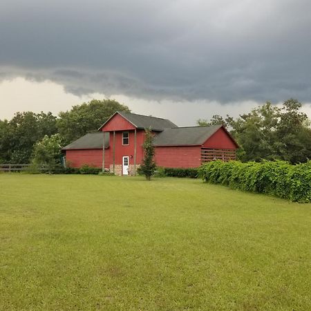 Appartamento Hawks Nest Loft Crawfordville Esterno foto