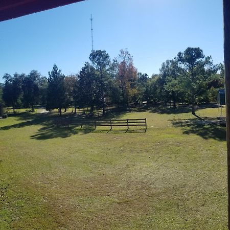 Appartamento Hawks Nest Loft Crawfordville Esterno foto
